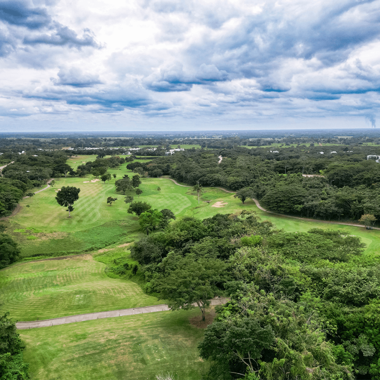 campo_golf