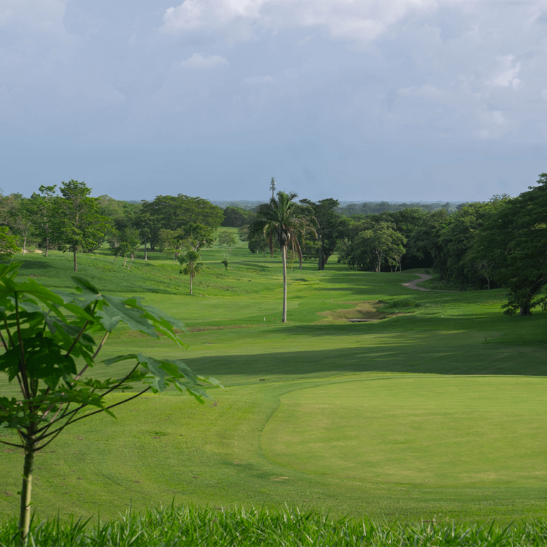 vegetacion_golf